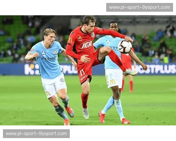 墨尔本凤凰之火，点燃惠灵顿海浪——澳超赛场上的激情碰撞与荣耀追逐